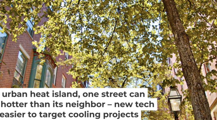 A tree canopy can make a big difference in temperature for people on the street below. The challenge is getting trees where they’re needed most. Andrey Denisyuk/Moment via Getty Images